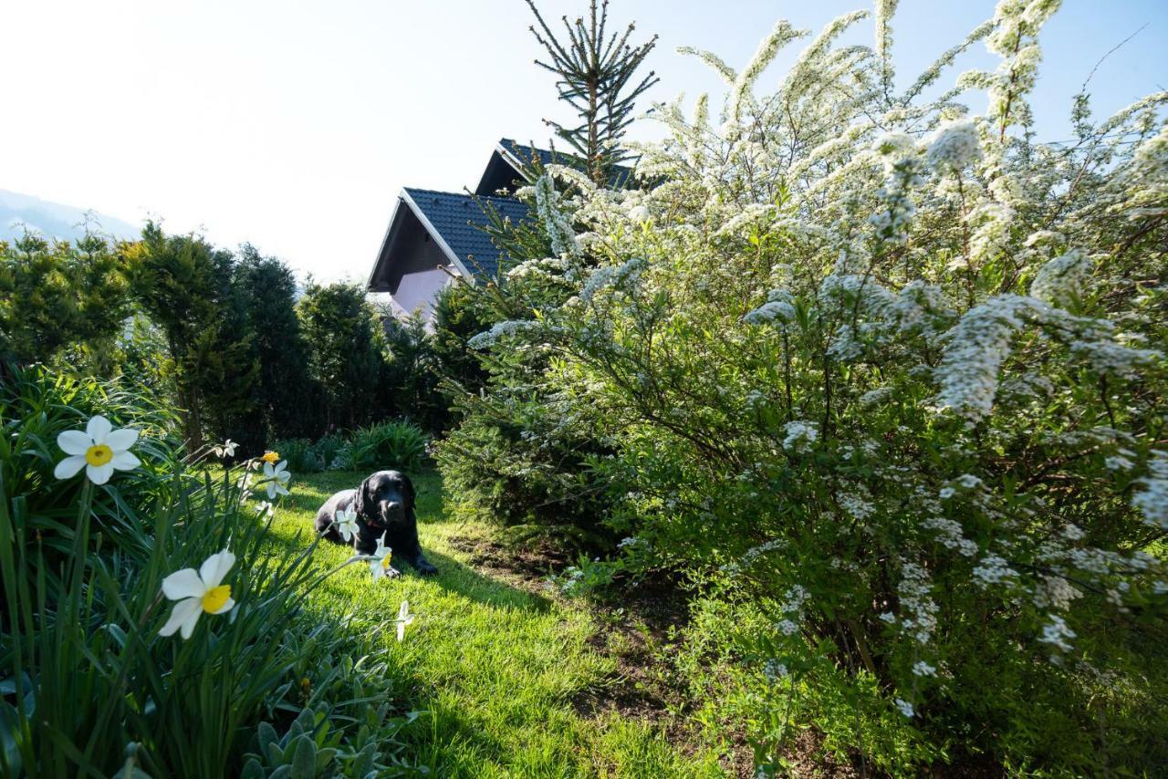 Guest House Pr' Cut Zirovnica Exterior photo
